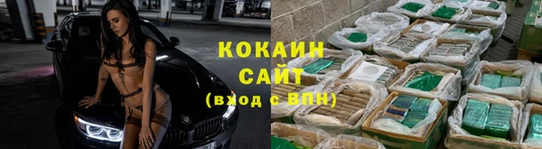 сатива Медногорск