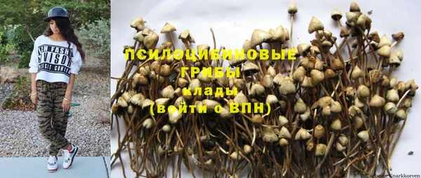 шишки Мегион