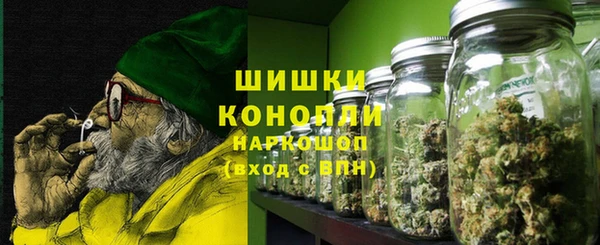 ПСИЛОЦИБИНОВЫЕ ГРИБЫ Магас