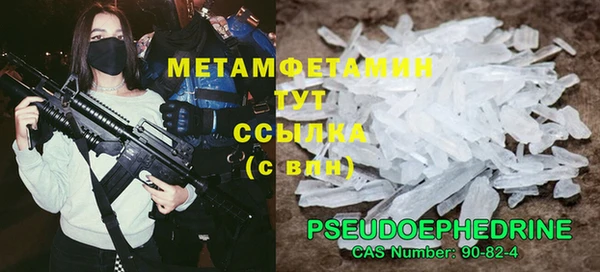 шишки Мегион