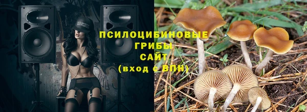 шишки Мегион