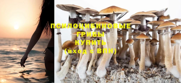 синтетический гашиш Медвежьегорск