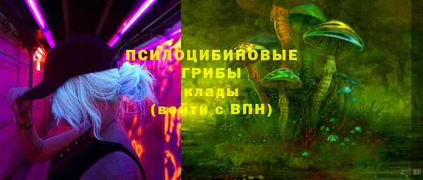 синтетический гашиш Медвежьегорск